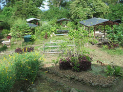 pacific-quest-hawaii-sustainable-growth
