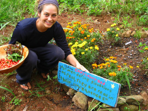 pacific quest food health and wellness wilderness programs